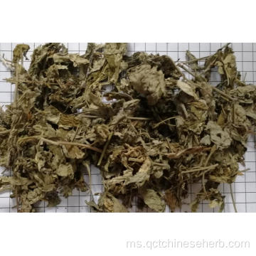 Artemisiae Argyi Folium berkualiti tinggi